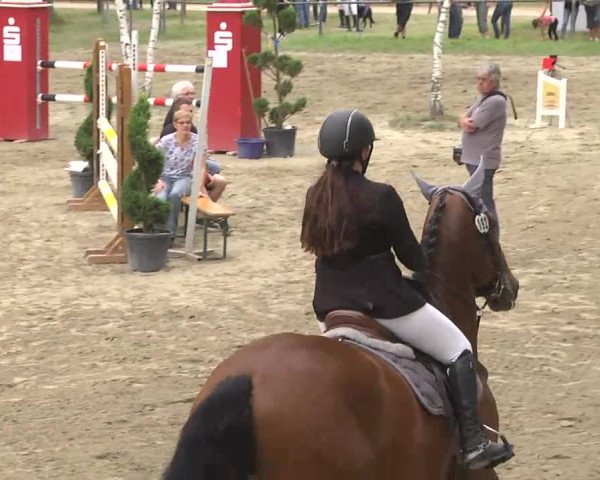 Reitturnier Königsbach 2016