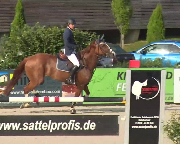 HORSE classics Killingen 2016