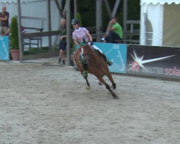 HORSE classics Killingen 2016