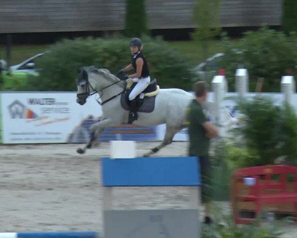 HORSE classics Killingen 2016