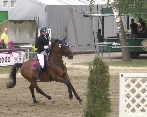 Reitturnier Königsbach 2016