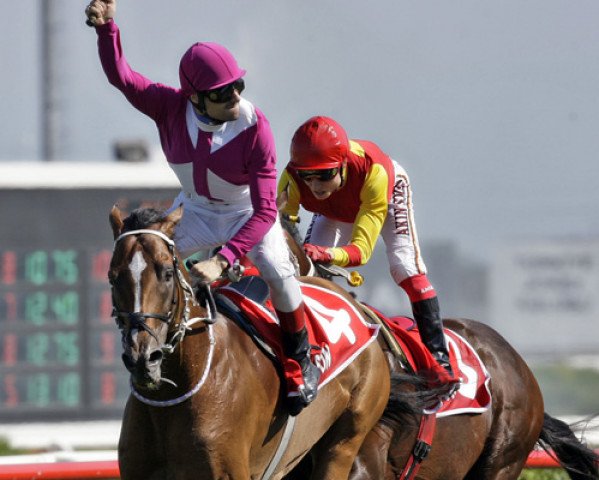stallion Invincible Son xx (Thoroughbred, 2006, from Orpen xx)
