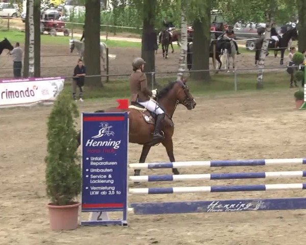 Reitturnier Königsbach 2016
