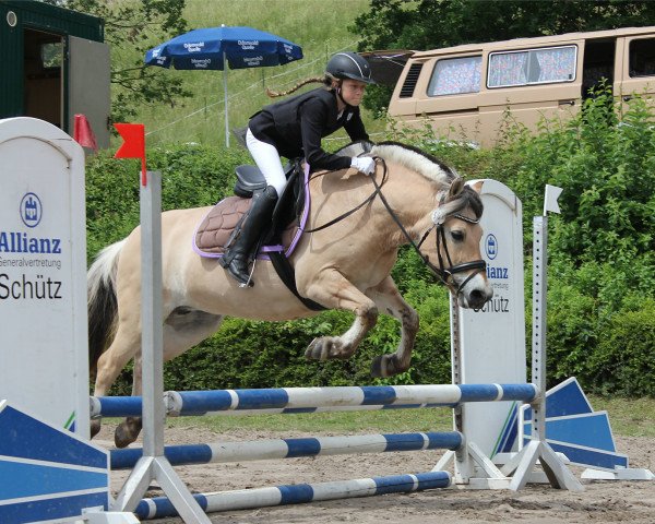 broodmare Janice (Fjord Horse, 2000, from Joram)