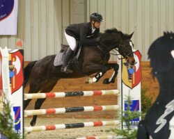 jumper Himalaya of The Huts (KWPN (Royal Dutch Sporthorse), 2012, from Balou du Rouet)