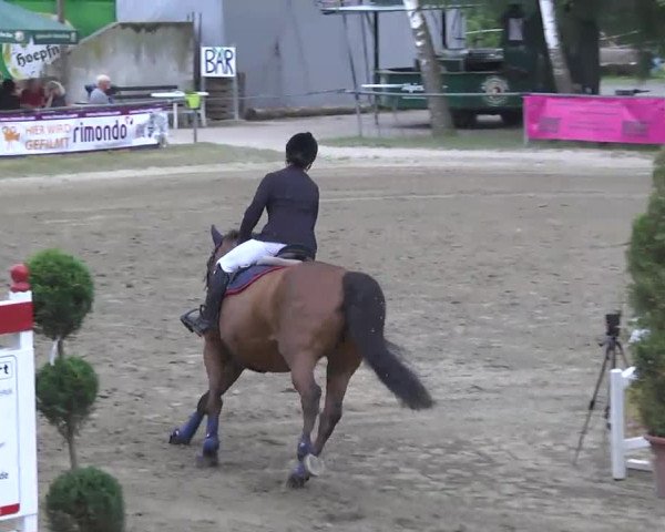 Reitturnier Königsbach 2016