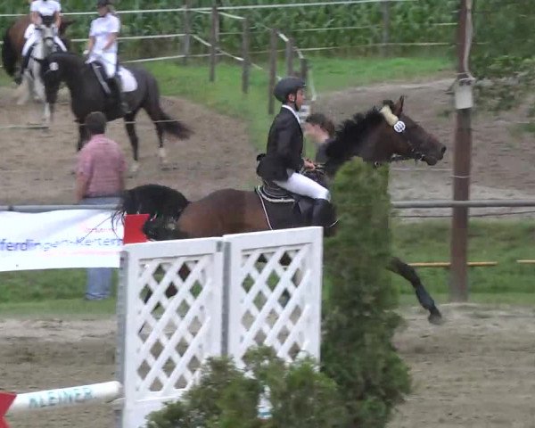Reitturnier Königsbach 2016