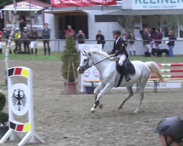 Reitturnier Königsbach 2016
