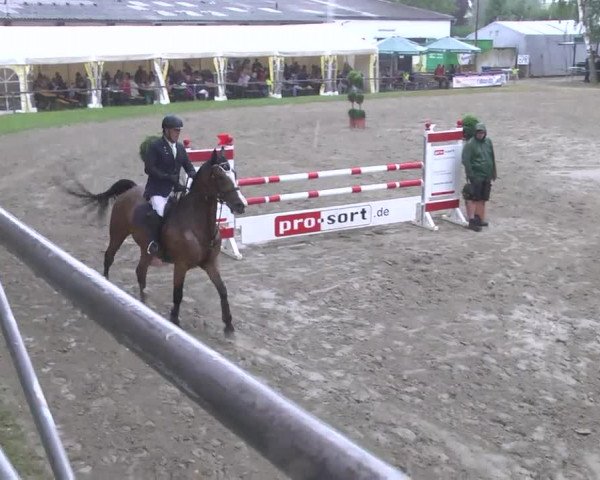 Reitturnier Königsbach 2016