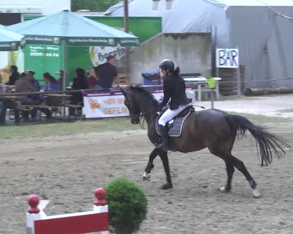Reitturnier Königsbach 2016