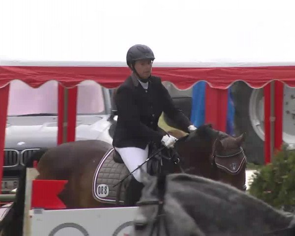 Reitturnier Königsbach 2016