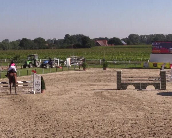 Sommerturnier Altenberge 2016