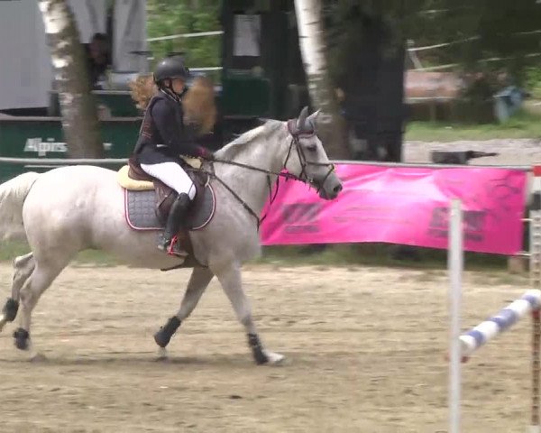 Reitturnier Königsbach 2016