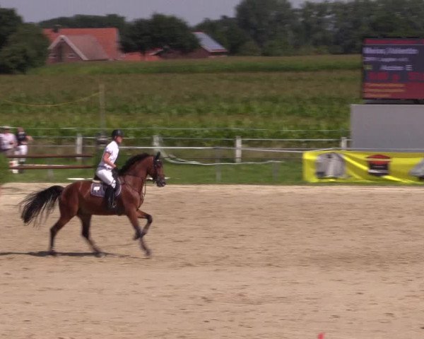 Sommerturnier Altenberge 2016