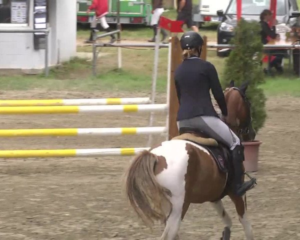 Reitturnier Königsbach 2016