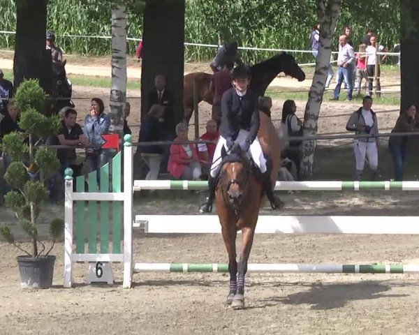 Reitturnier Königsbach 2016