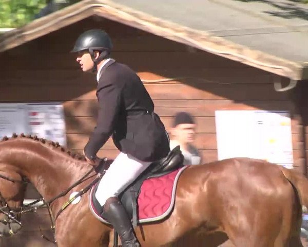 Reitturnier Königsbach 2016