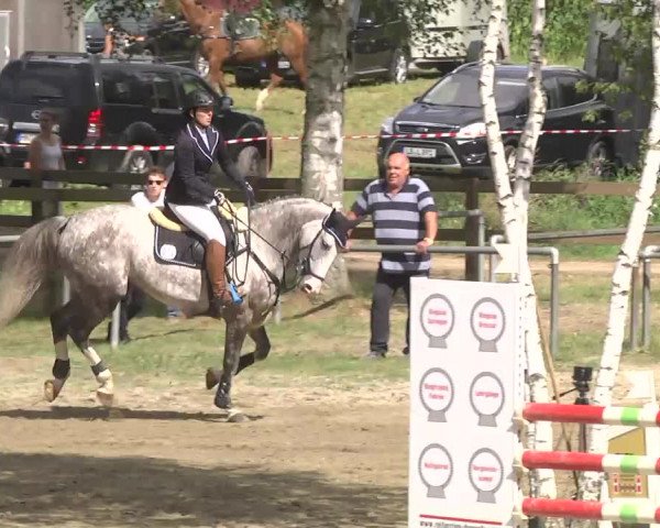 Reitturnier Königsbach 2016