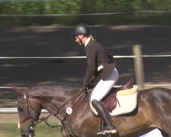 Reitturnier Königsbach 2016