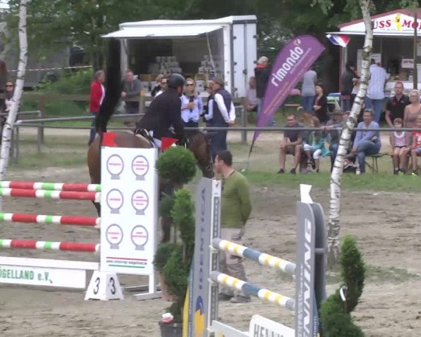 Reitturnier Königsbach 2016