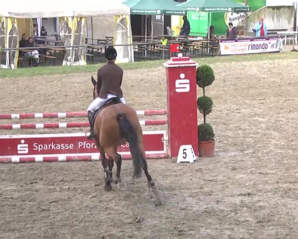 Reitturnier Königsbach 2016