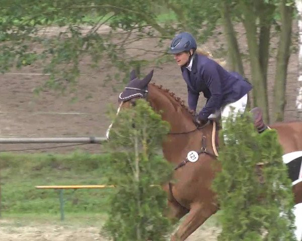 Reitturnier Königsbach 2016