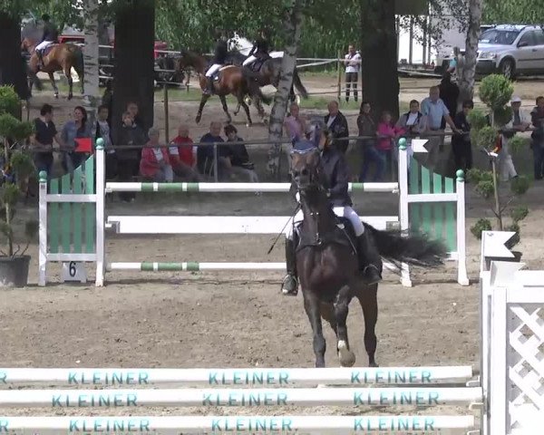 Reitturnier Königsbach 2016