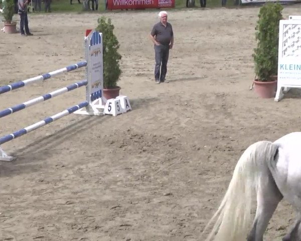 Reitturnier Königsbach 2016