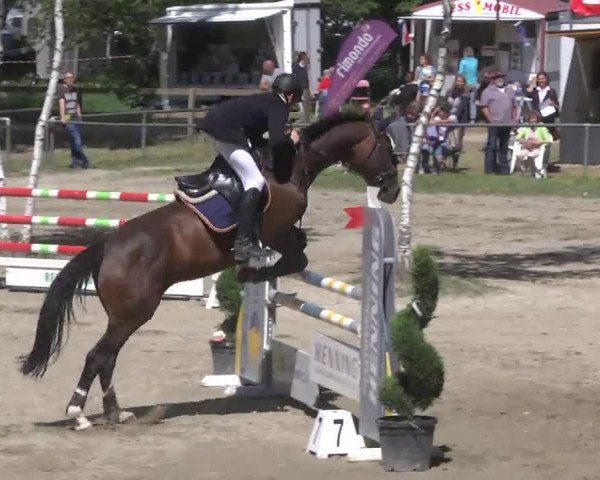 Reitturnier Königsbach 2016