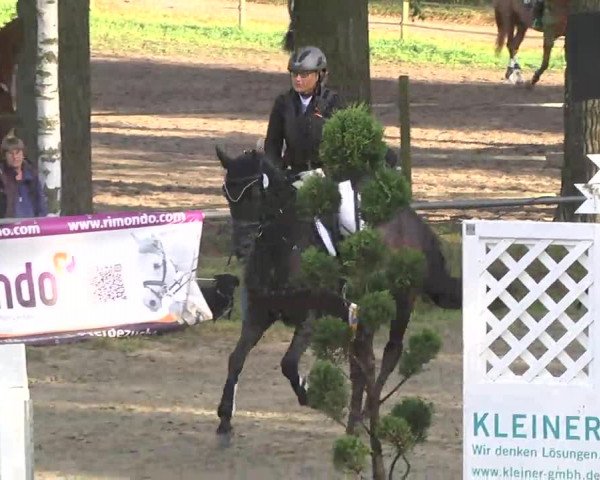 Reitturnier Königsbach 2016