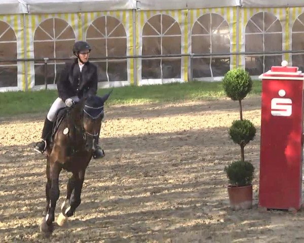 Reitturnier Königsbach 2016