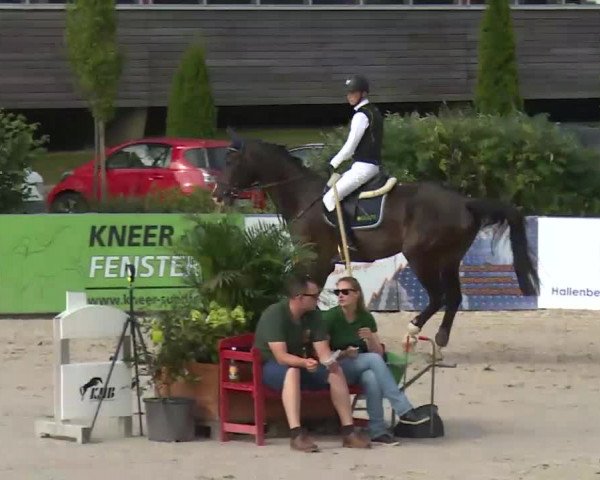 HORSE classics Killingen 2016