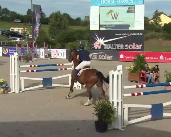 HORSE classics Killingen 2016