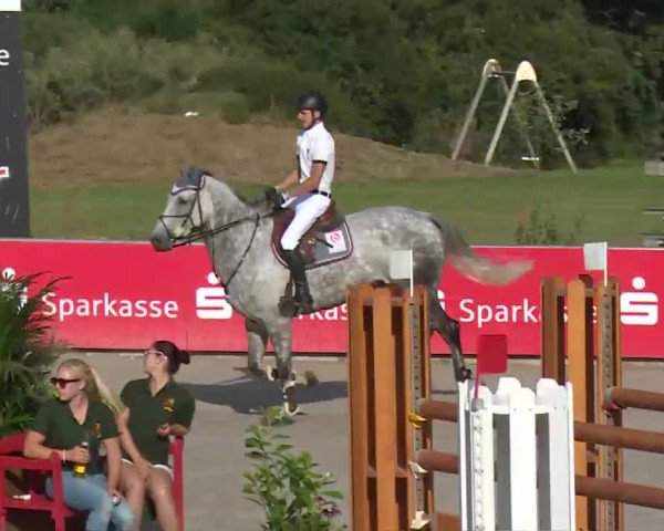 HORSE classics Killingen 2016