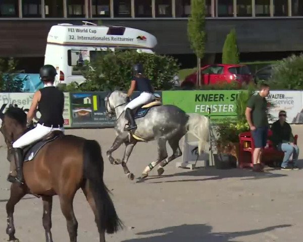 HORSE classics Killingen 2016
