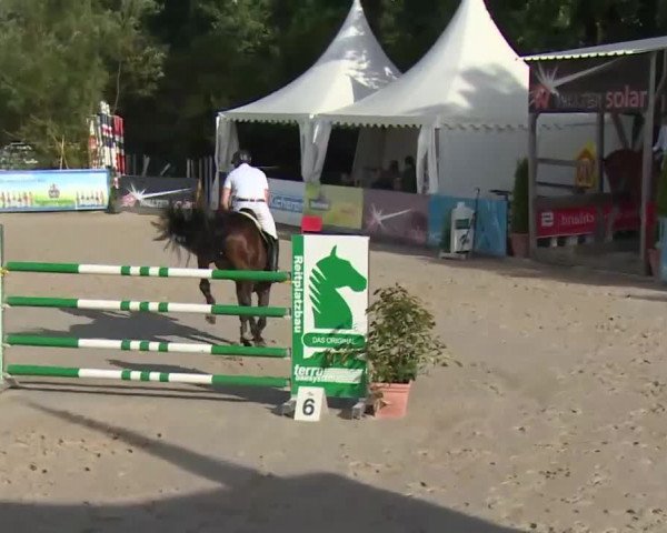 HORSE classics Killingen 2016