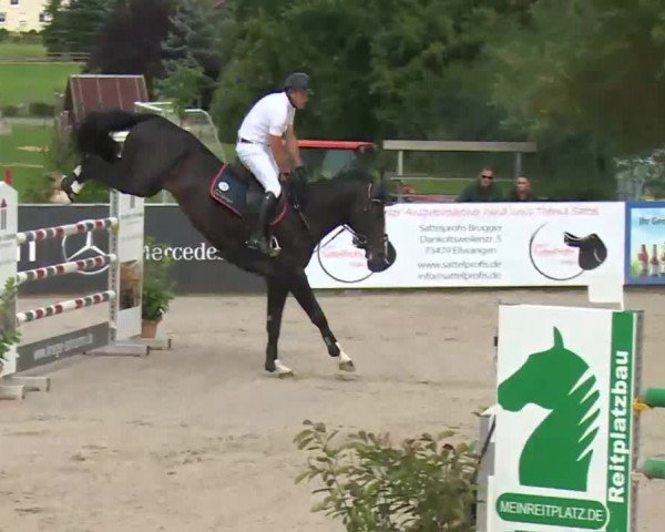 HORSE classics Killingen 2016