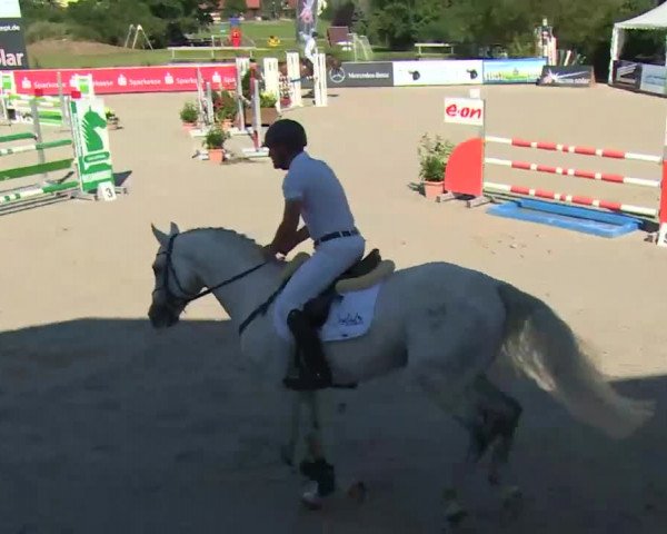 HORSE classics Killingen 2016