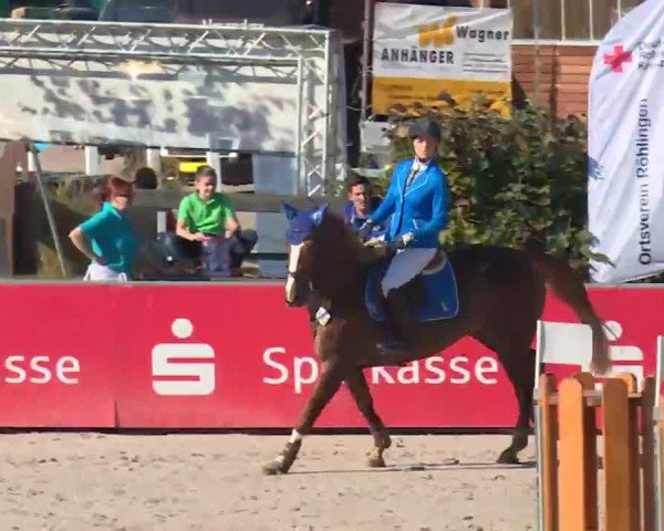 HORSE classics Killingen 2016