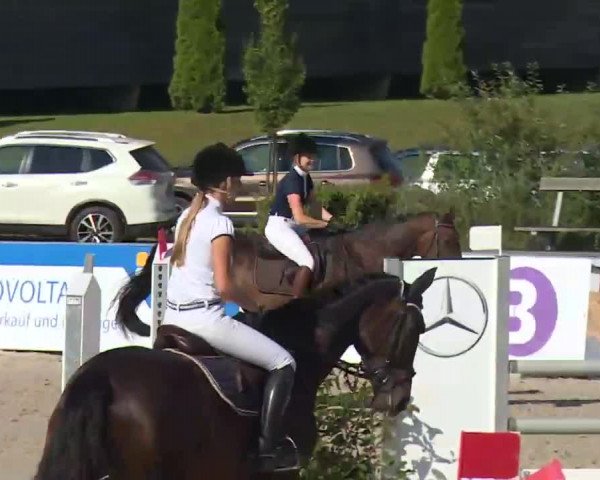 HORSE classics Killingen 2016