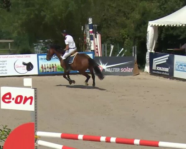 HORSE classics Killingen 2016