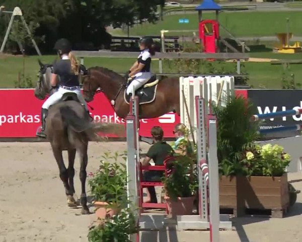 HORSE classics Killingen 2016