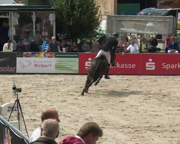 HORSE classics Killingen 2016