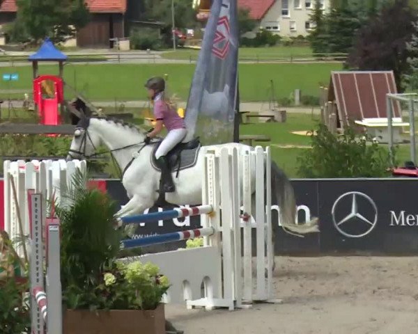 HORSE classics Killingen 2016