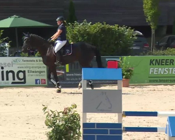 HORSE classics Killingen 2016