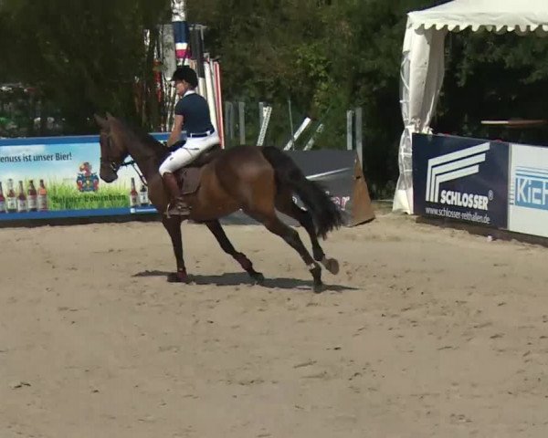 HORSE classics Killingen 2016