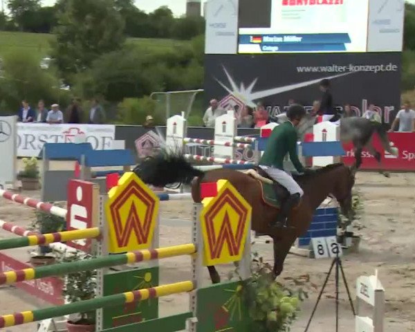 HORSE classics Killingen 2016