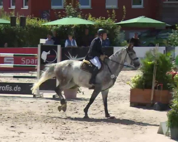 HORSE classics Killingen 2016