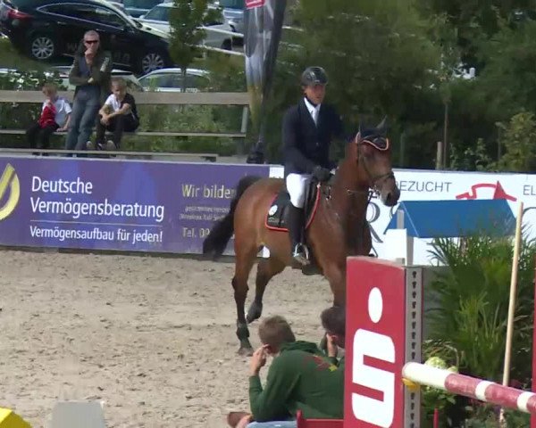 HORSE classics Killingen 2016