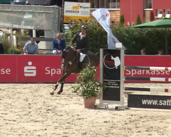 HORSE classics Killingen 2016